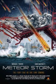 METEOR STORM วันฟ้าถล่ม (2010)